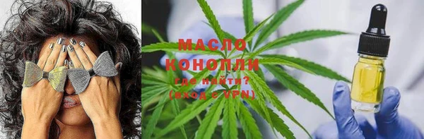 хмурый Богородицк