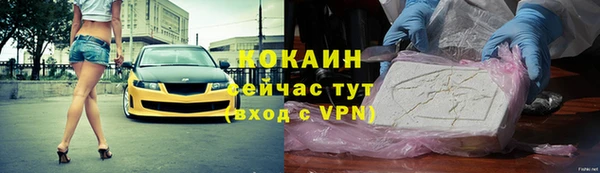 шишки Богородск