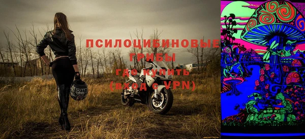 хмурый Богородицк