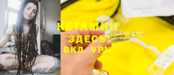 сатива Белокуриха