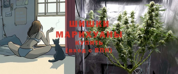 хмурый Богородицк
