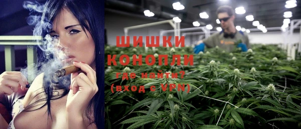 шишки Богородск