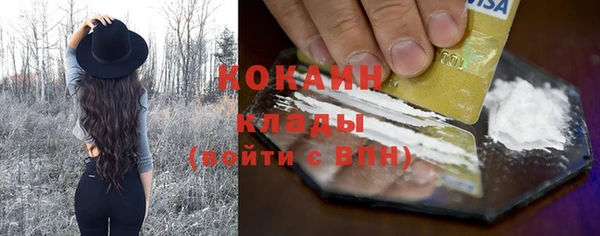 шишки Богородск