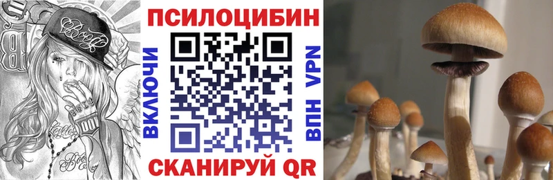 Купить закладки  Крымск  Галлюциногенные грибы мухоморы 